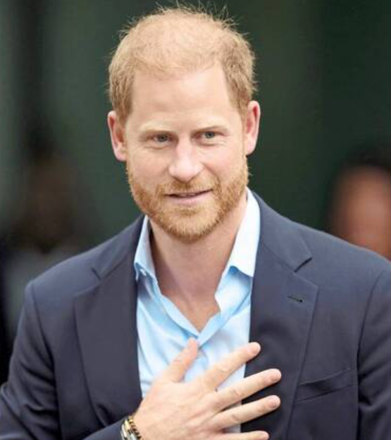 Reference photograph of Prince Harry