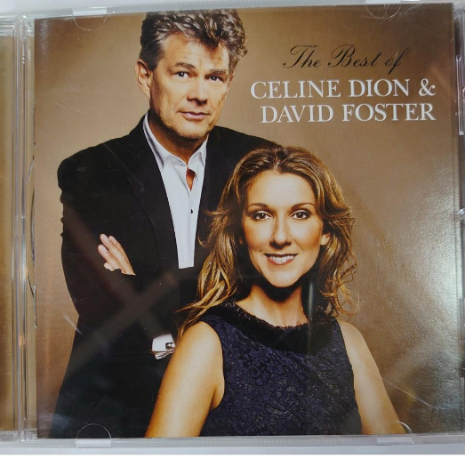 Céline Dion & David Foster — Foundation visual archive