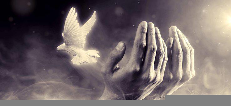 Open hands and a white dove, symbols of care and peace